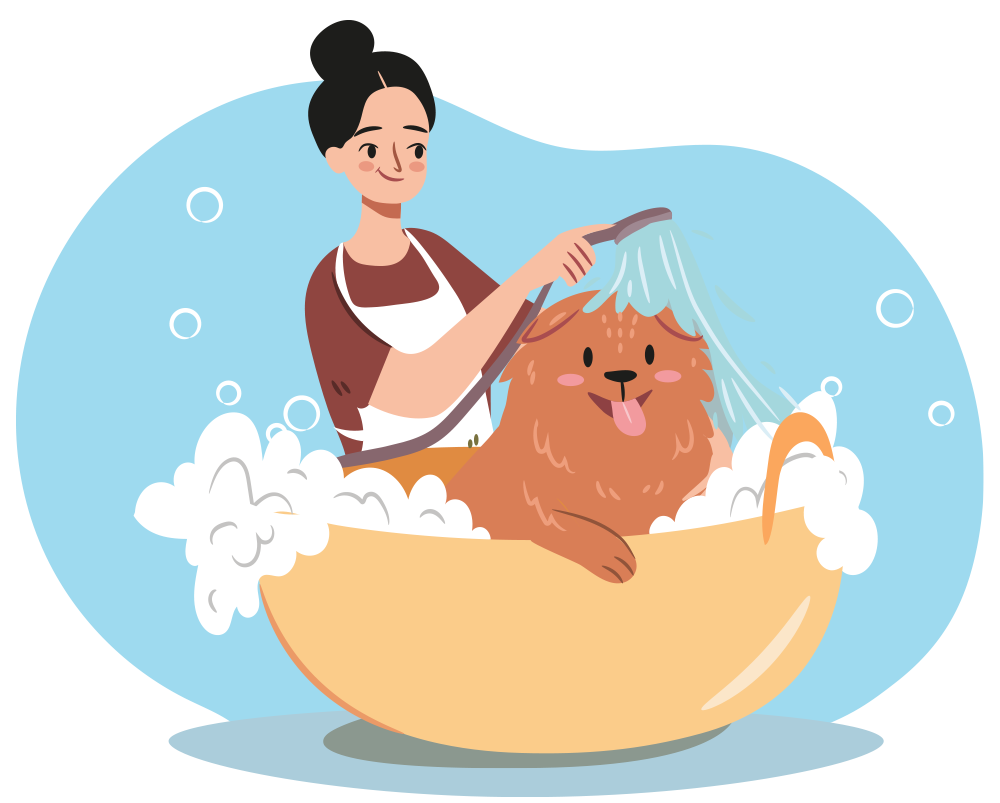 Dog grooming at Jersey City Paws