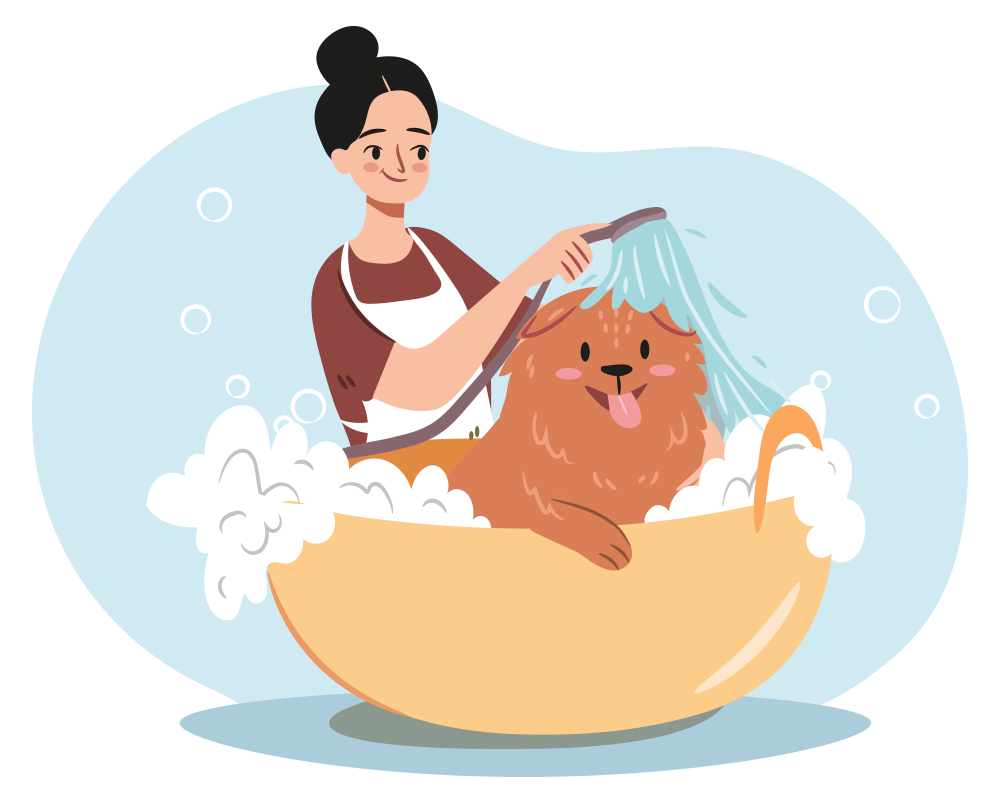 Dog grooming at Jersey City Paws